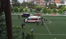 昆明小学爆料最新消息,揭秘校园内幕事件