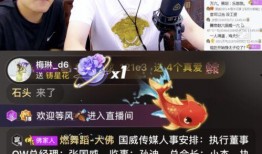 沈猛爆料佬哥视频大全,佬哥视频大全揭秘幕后真相